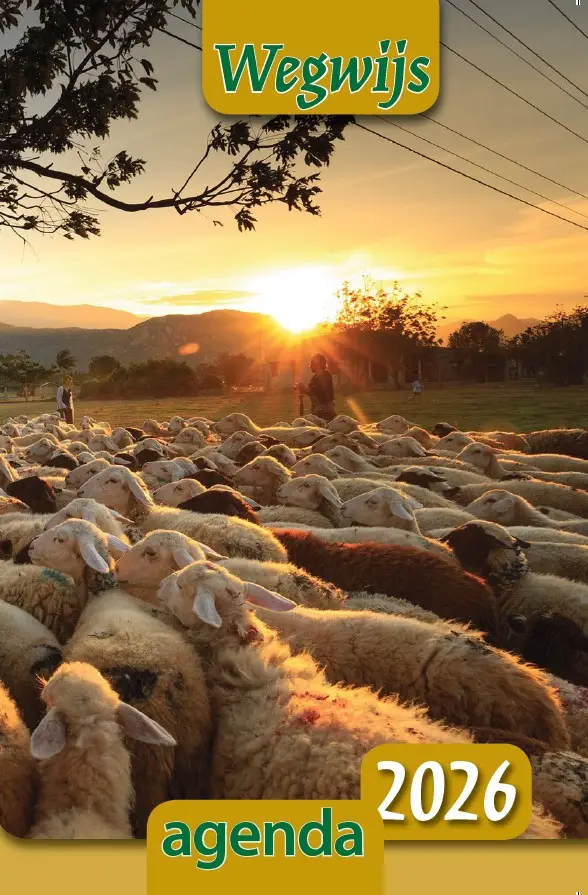 Wegwijsagenda 2020 exclusief hoesje
