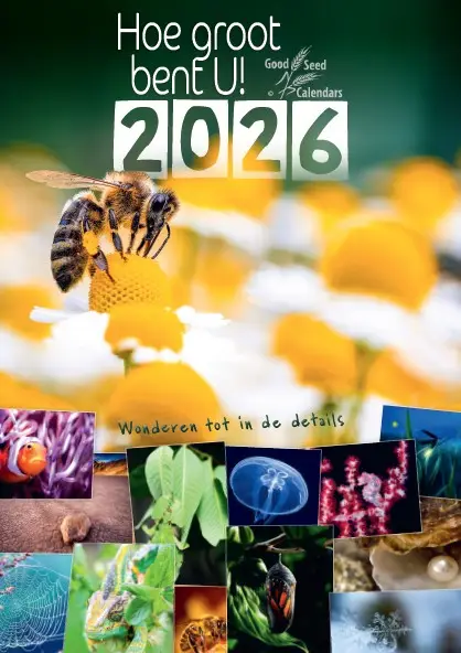 Posterkalender Hoe groot bent U! 2026