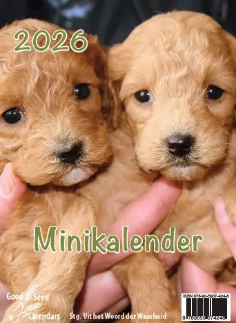 Minikalender 2020 met mooie afbeeldingen
