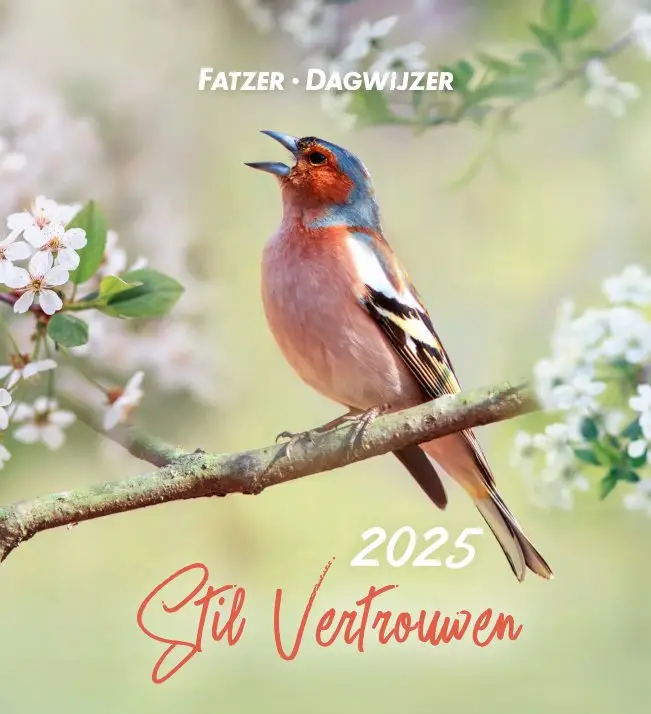 Kalender 2025 sv stil vertrouwen