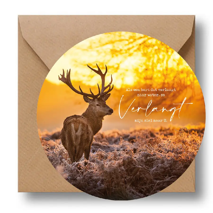 Cirkelcadeau olifant de Heer zal je leid