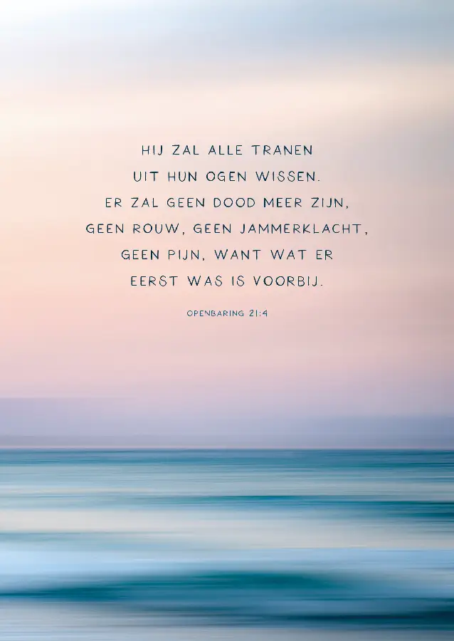 Setje 6 Kaarten + env. (SV-tekst)