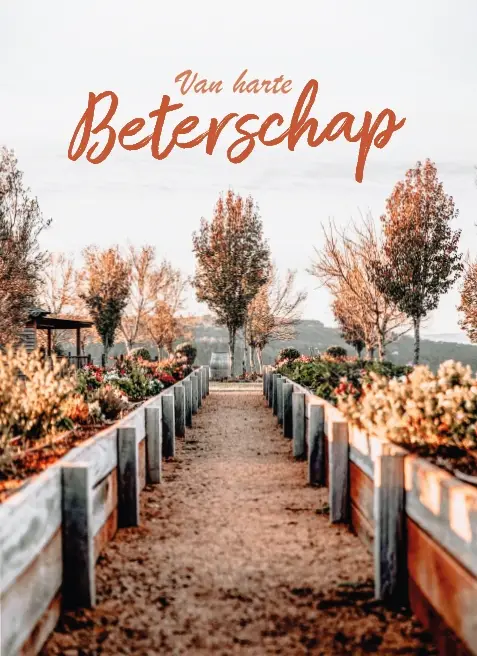 Beterschap