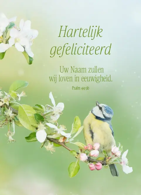 Gefeliciteerd