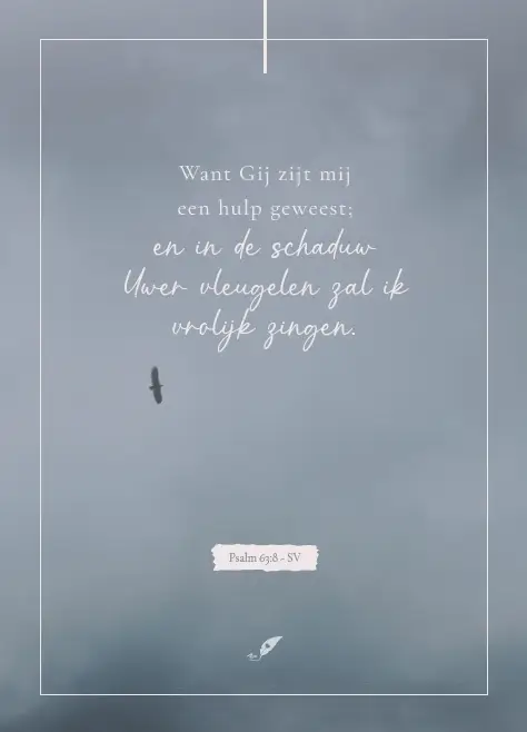 Want Gij zijt mij een hulp geweest