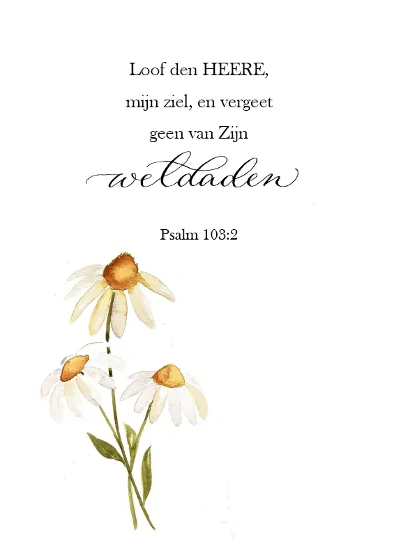 Loof den HEERE, mijn ziel