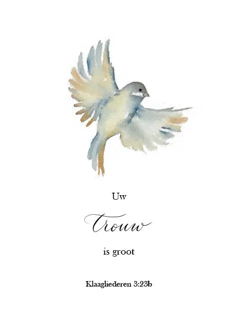 Wonderlijk zijn Uw werken (meisje)