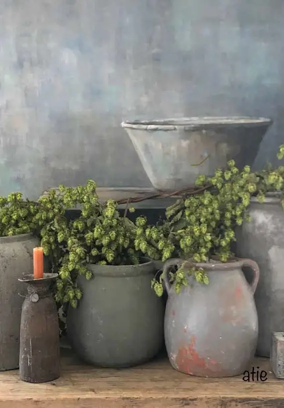 Blanco - Potten met hop