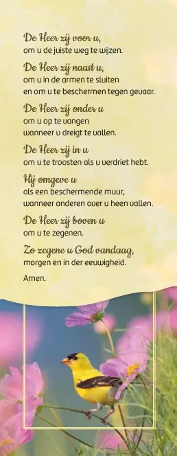 Zegen van St. Patrick