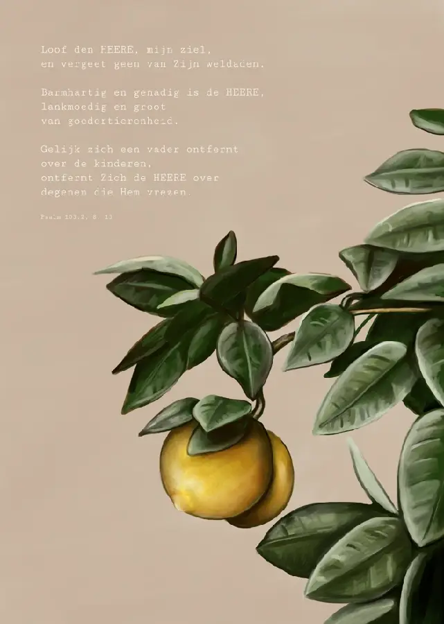 Loof den HEERE, mijn ziel