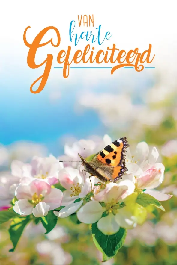 Gefeliciteerd