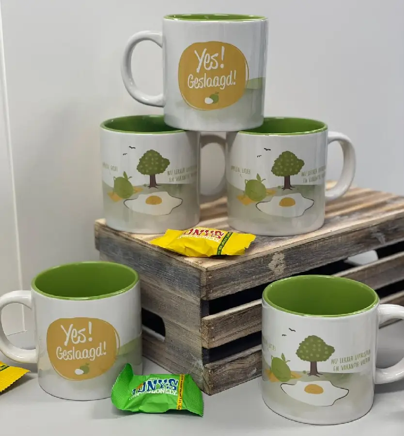 Mok Yes Geslaagd Appeltje, Eitje