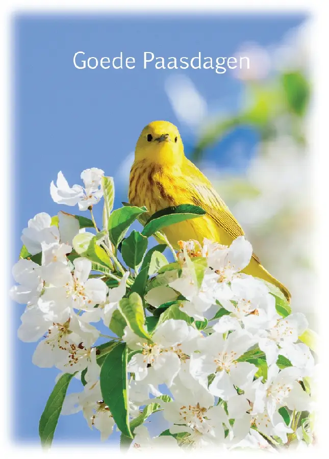 Prentbriefkaart Goede Paasdagen