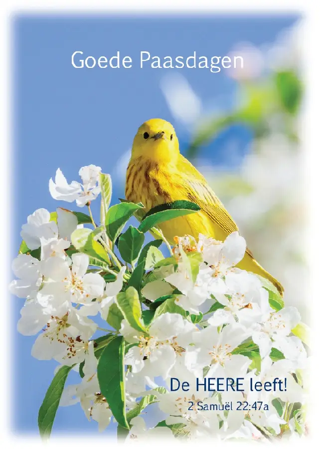 Prentbriefkaart Goede Paasdagen