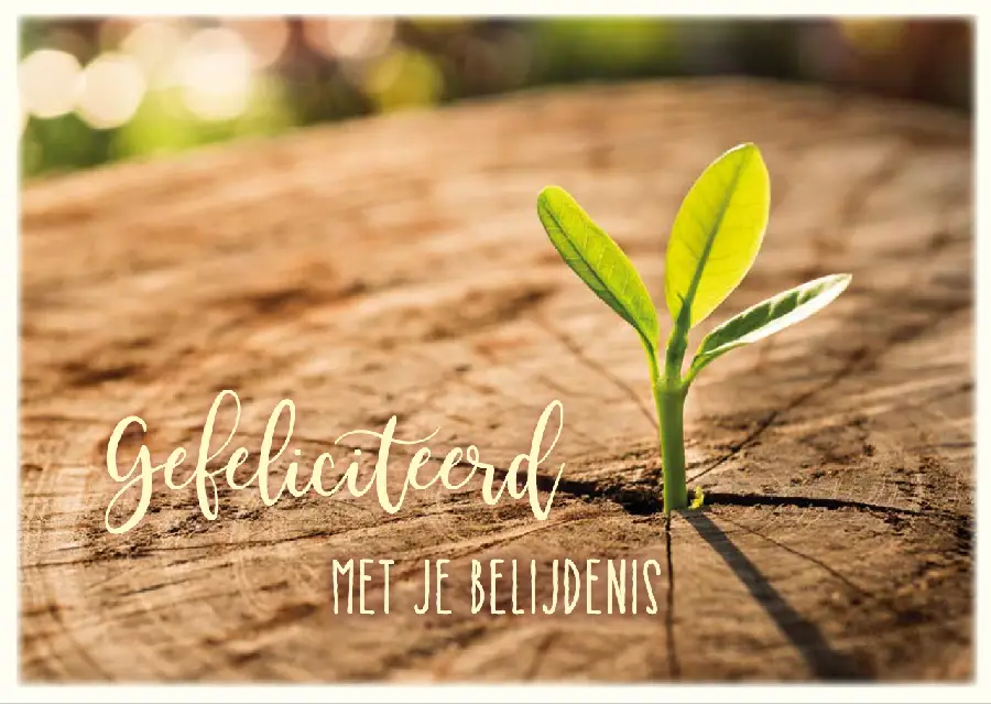 Prentbriefkaart Gefeliciteerd Belijdenis