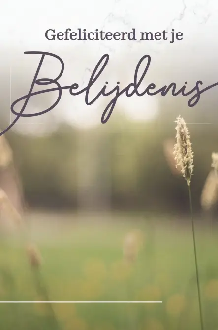 Minikaartje Gefeliciteerd Belijdenis