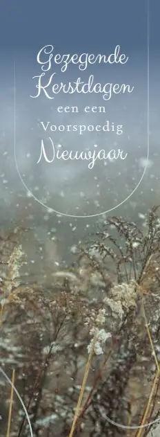 Boekenlegger Gez. K/N