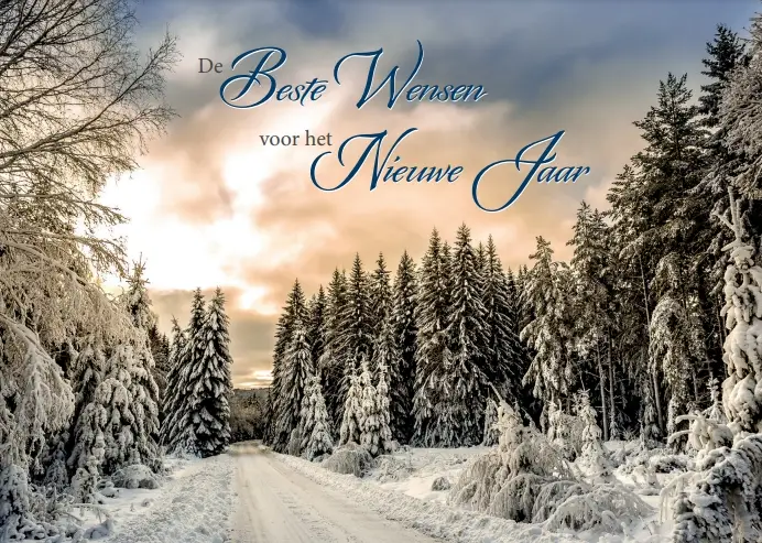 Map 5 Prentbriefkaarten Beste Wensen