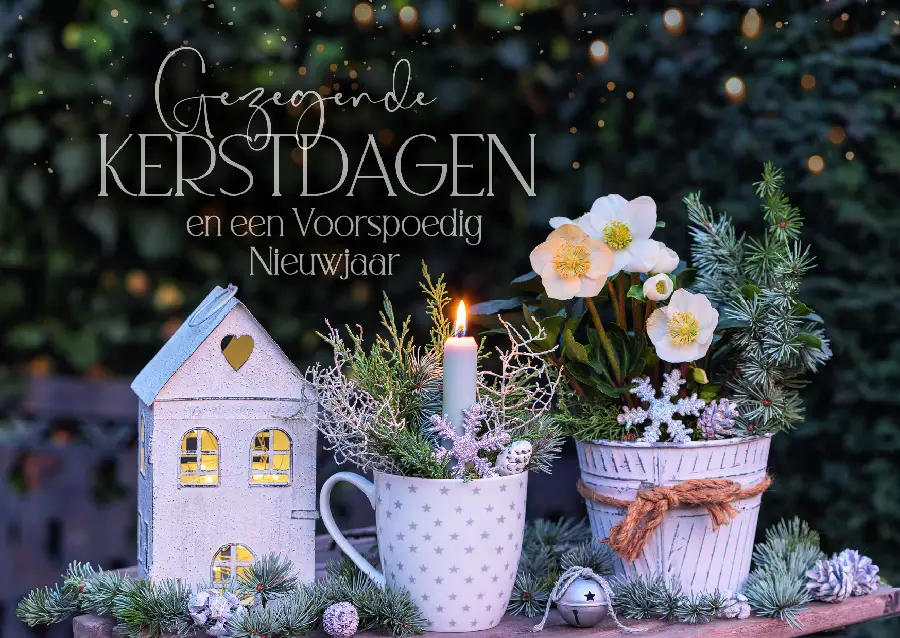 Map 5 Prentbriefkaarten Gezegende K/N