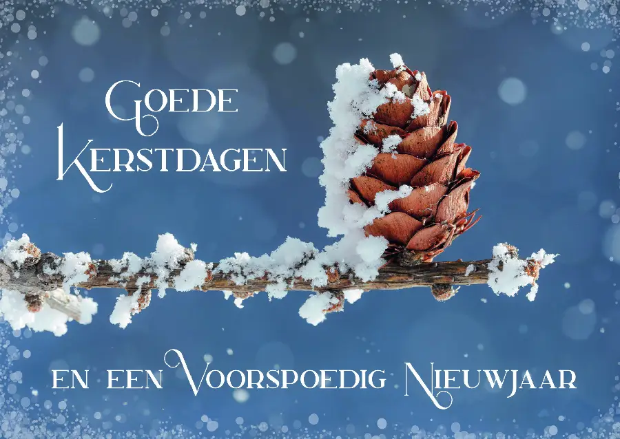 Map 5 Prentbriefkaarten Gezegende K/N