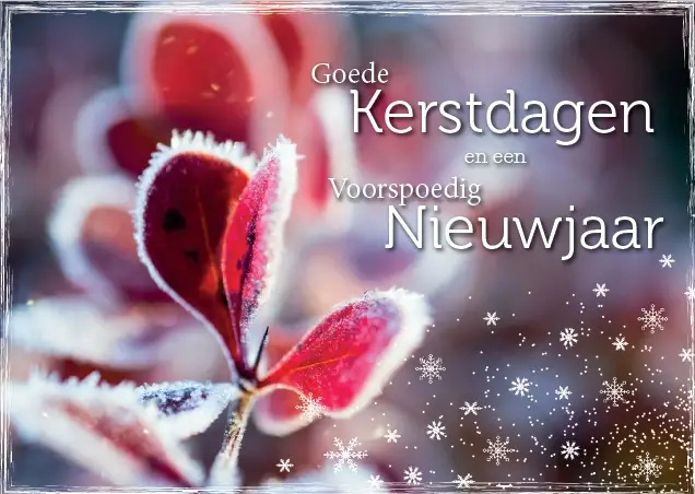 Map 5 Prentbriefkaarten Goede K/N