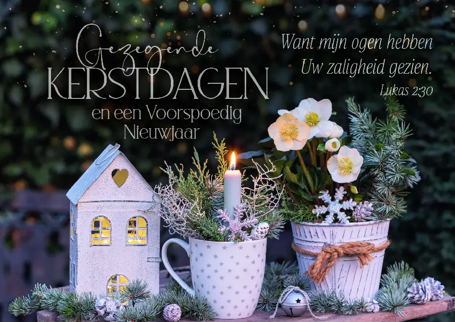 Map 5 Prentbriefkaarten Gezegende K/N