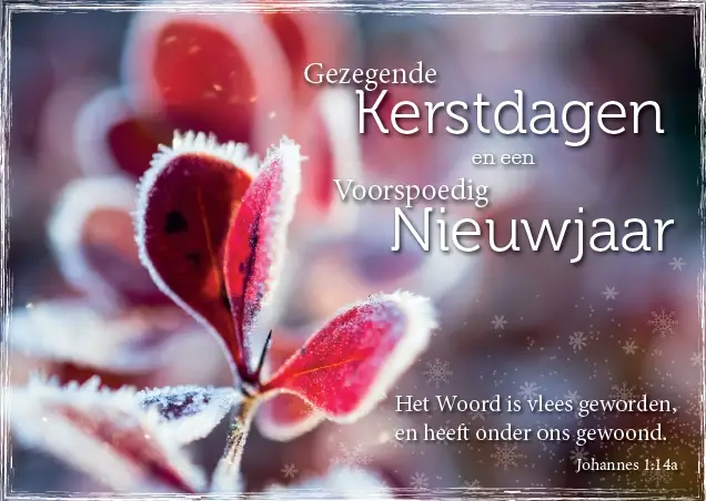 Map 5 Prentbriefkaarten Gezegende K/N