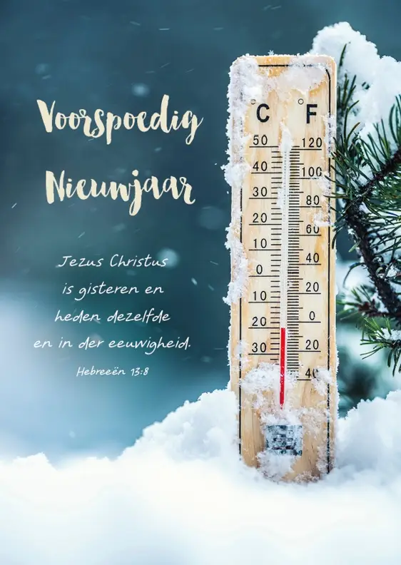 Map 5 Prentbriefkaarten Nieuwjaar m/t