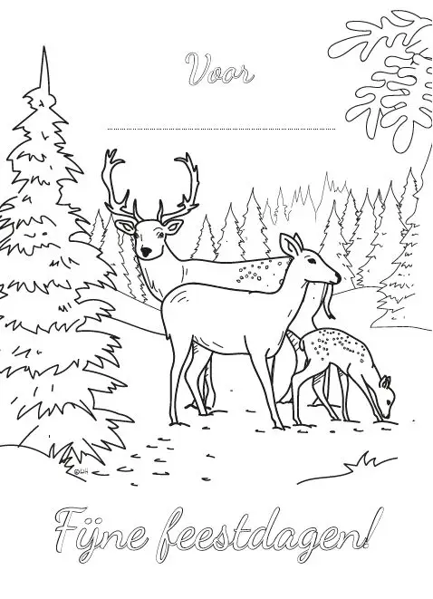 Kleurkaart Voor ... Fijne feestdagen