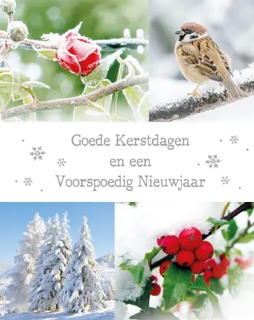 Hangdoosje Goede Kerstdagen