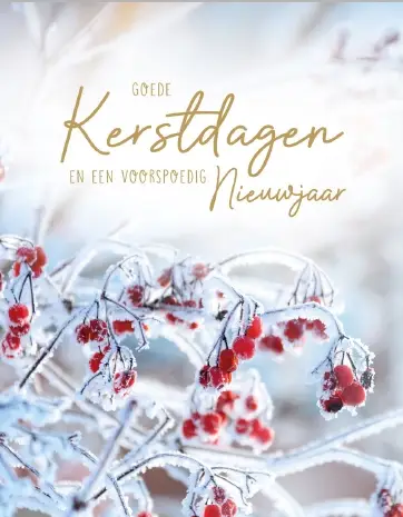 Hangdoosje Goede Kerstdagen