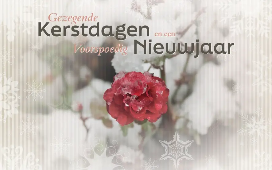 Map EK Kaart Nieuwjaar modules