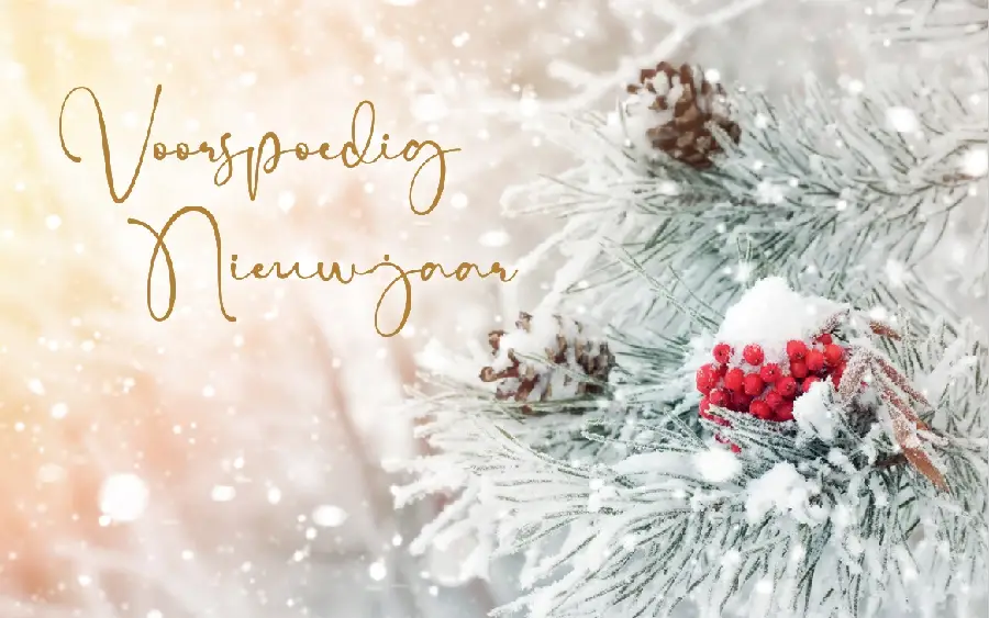 Map EK Kaart Voorspoedig Nieuwjaar