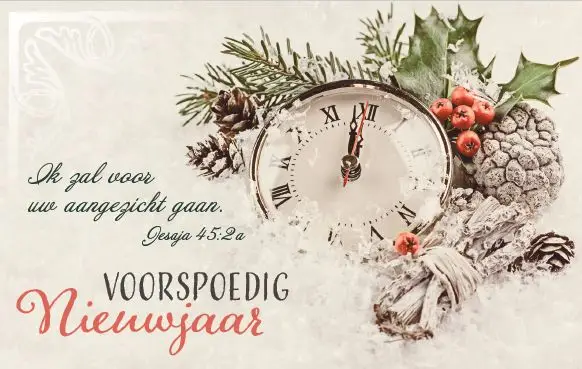 Map EK Kaart Voorspoedig Nieuwjaar m/t