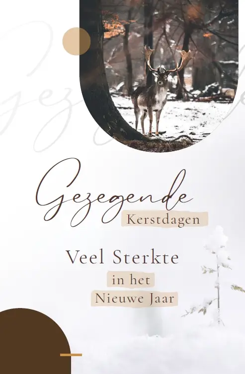 Wenskaart Gez. Kerstdagen + Veel Sterkte