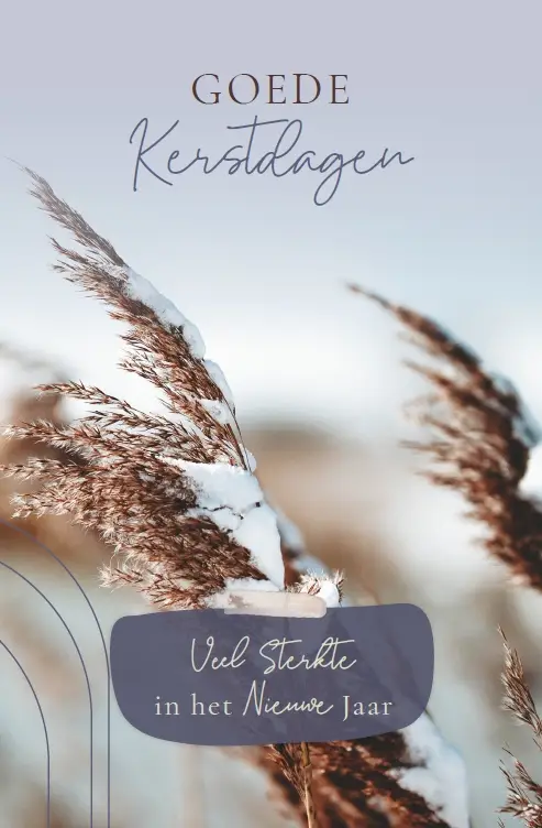 Wenskaart Goede Kerstdagen+Veel Sterkte