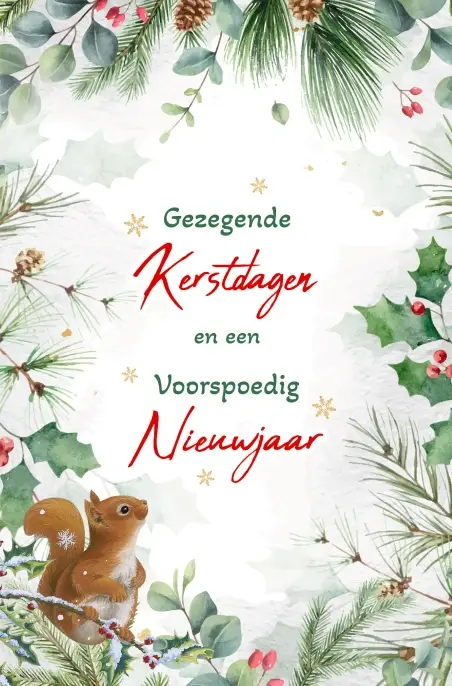 Kerstbox Gez. K/N Takjes Groen