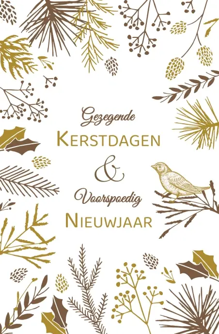 Kerstbox Gez. K/N Takjes Bruin