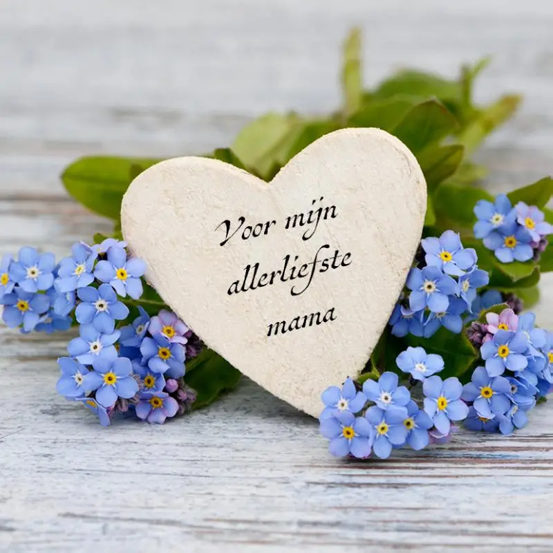 Voor mijn allerliefste mama + pen janet