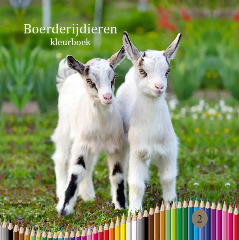 Boerderijdieren kleurboek 2
