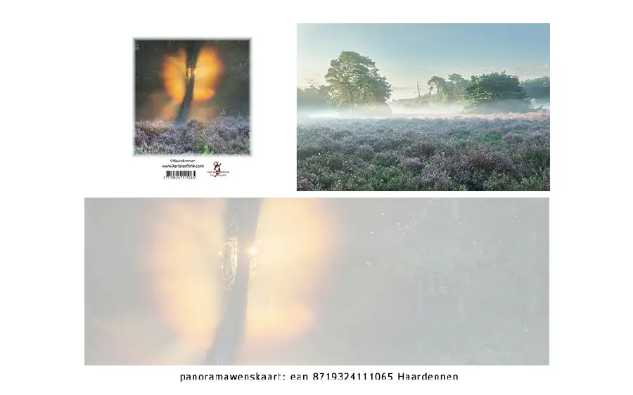 Panoramawenskaart belijdenis als een her