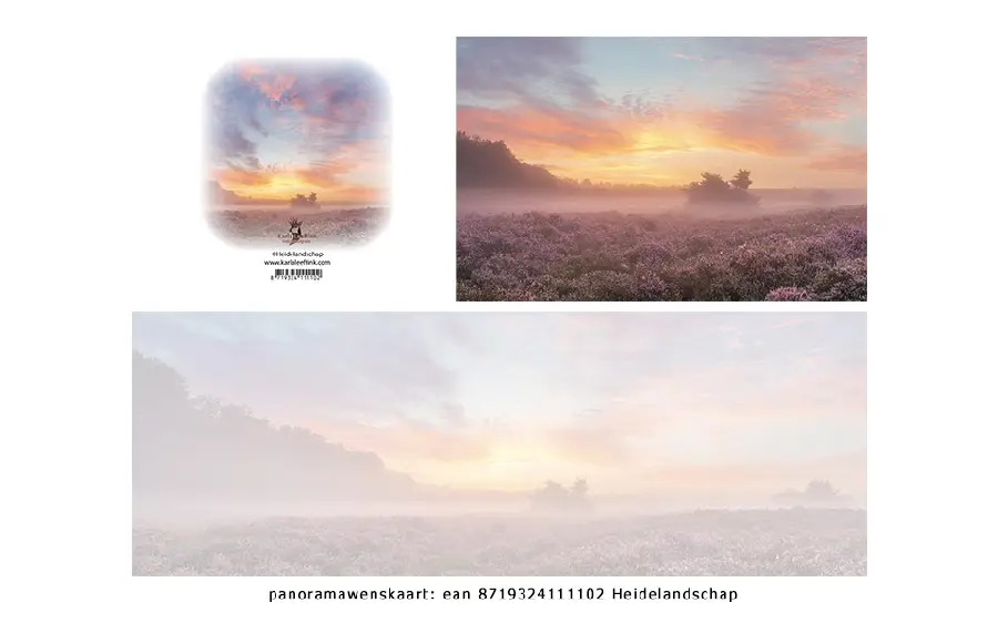 Panoramawenskaart zt heidelandschap