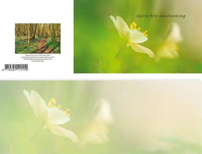 Panoramawenskaart rouw zt bosanemoon