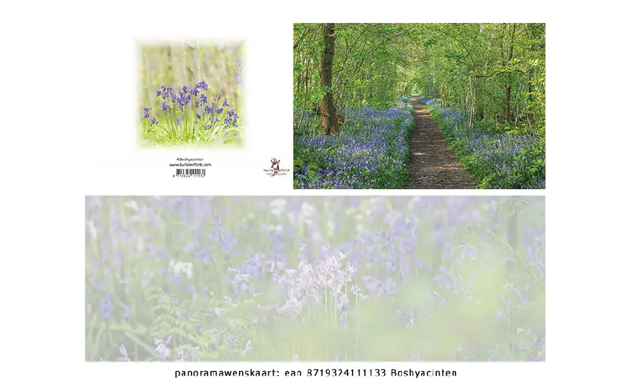 Panoramawenskaart rouw mt lelietje