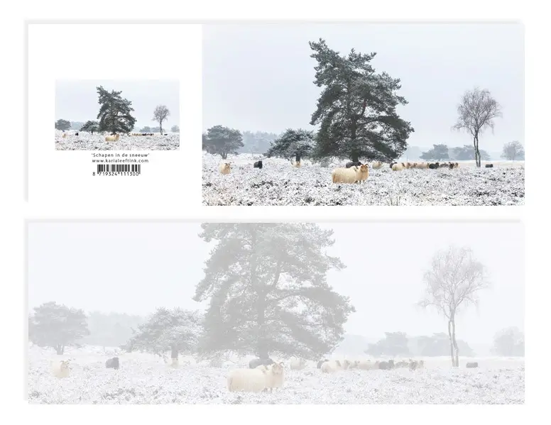 Panoramawenskaart Schapen in de sneeuw