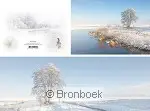 Panoramawenskaart winterbeek