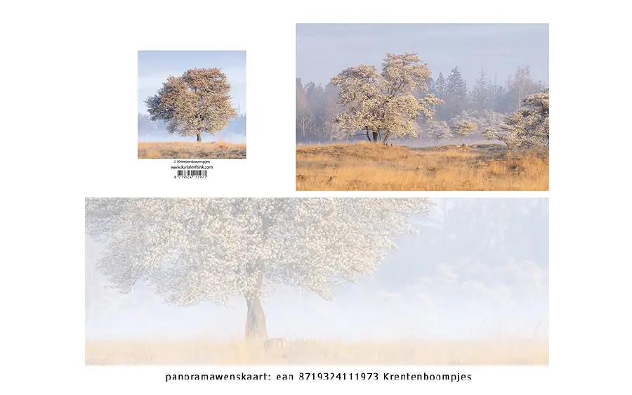 Panoramawenskaart krentenboompjes