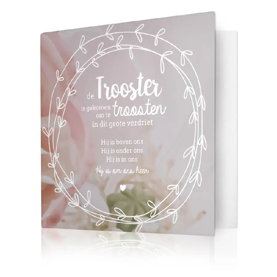 De Trooster is gekomen om te troosten