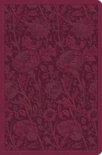 ESV - Value Compact Bible