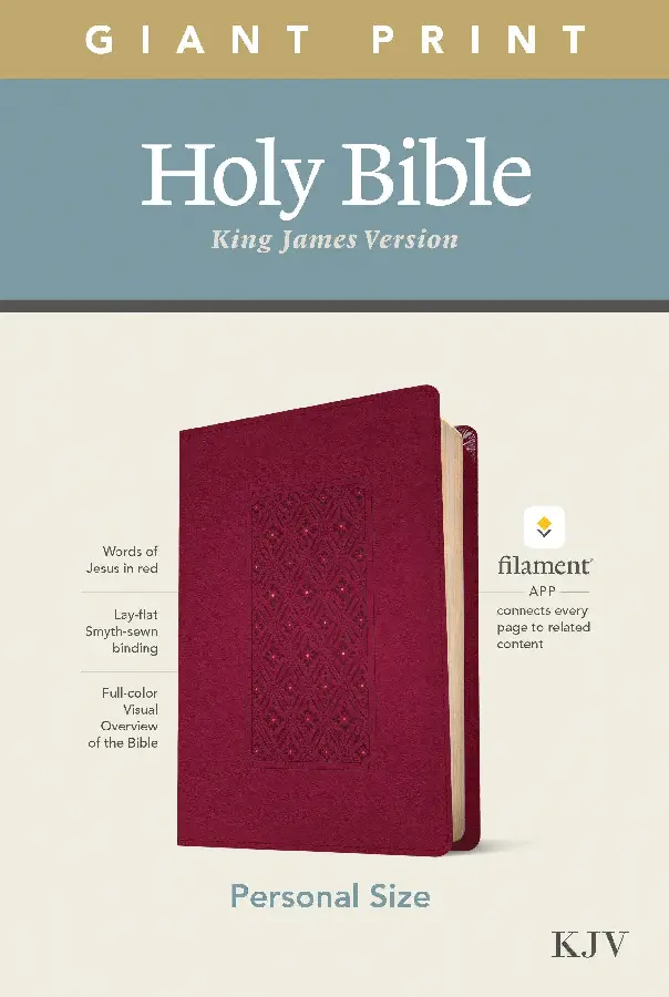 NLT -  Giant print bible - personal ed.